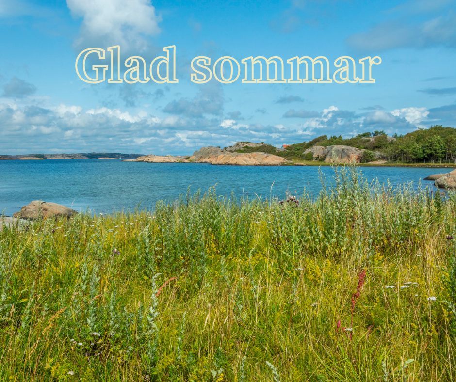 Naturfoto med gräs och en blå sjö, högst upp texten "Glad sommar".