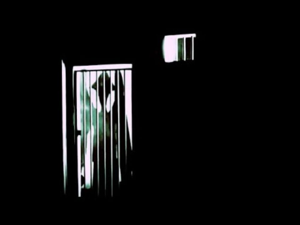 Sexual Purity : Two Things