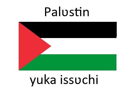 Palestinian flag with "Palʋstin yuka issʋchi" written on it.