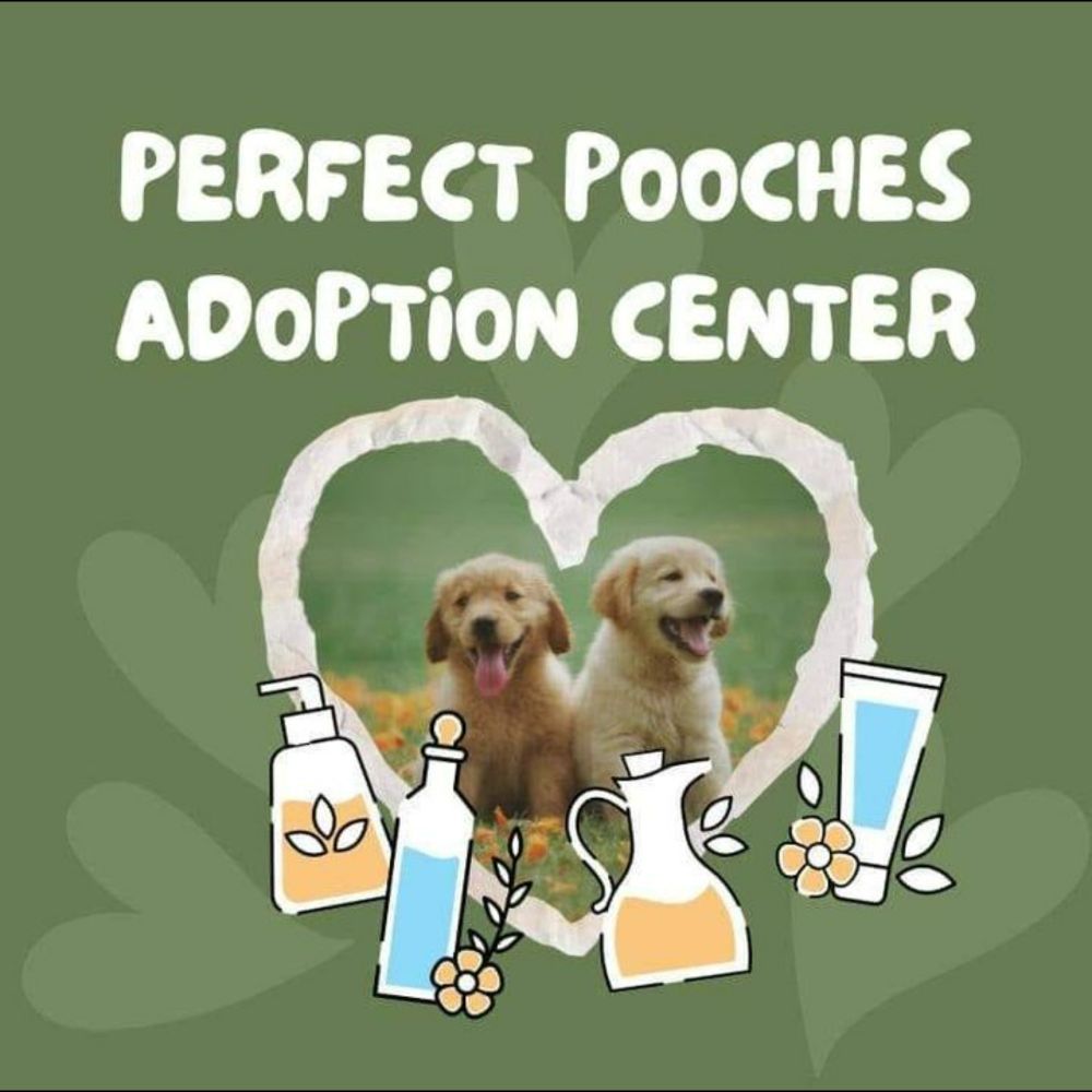 Perfect Pooches Adoption Center | Middletown DE