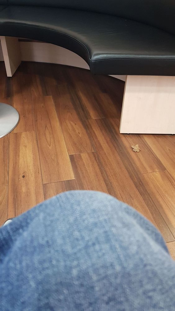 Blick auf den Boden eines Wartezimmers