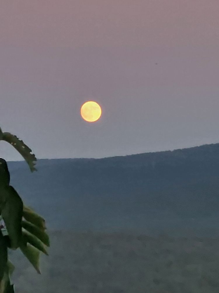 Türk İslam dünyasının uydusu ay 