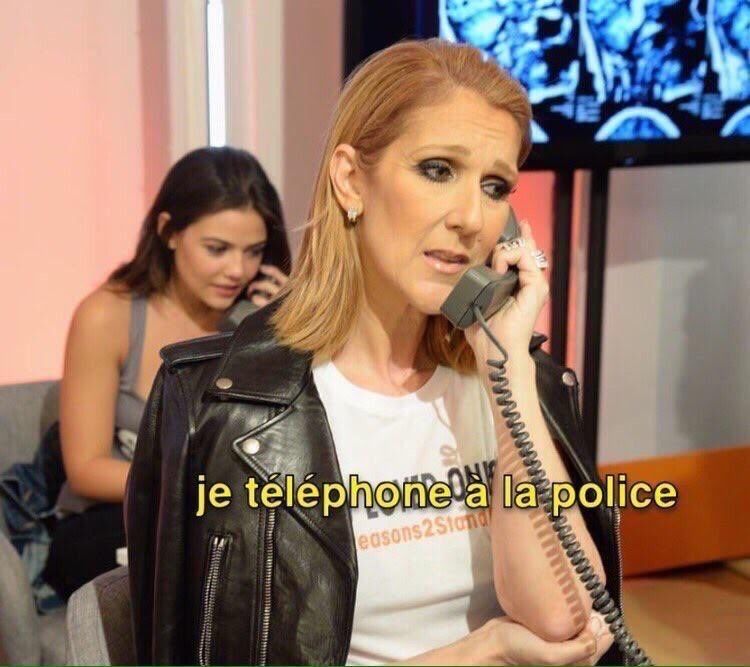 Je telephone a la police meme