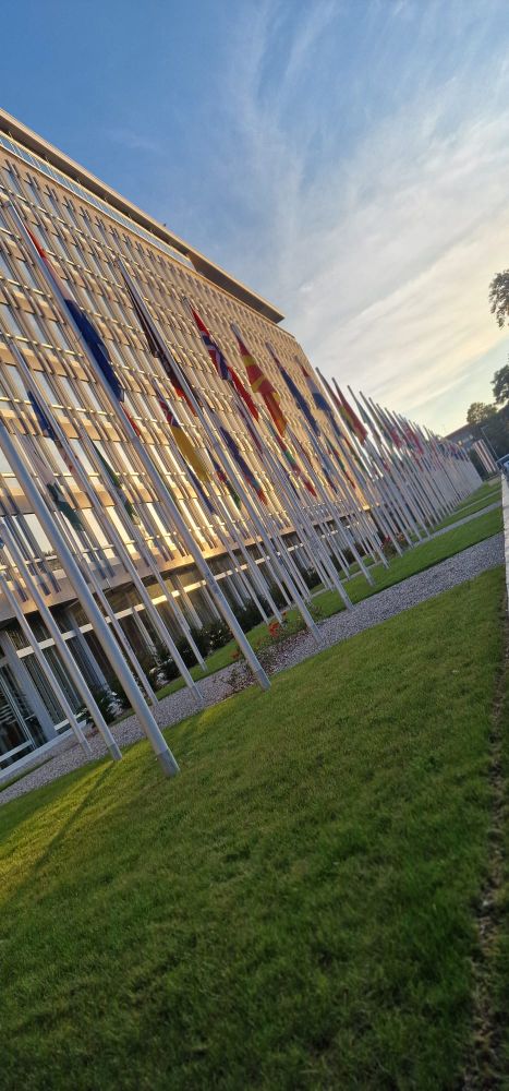 Flags outside the WHO headquarters