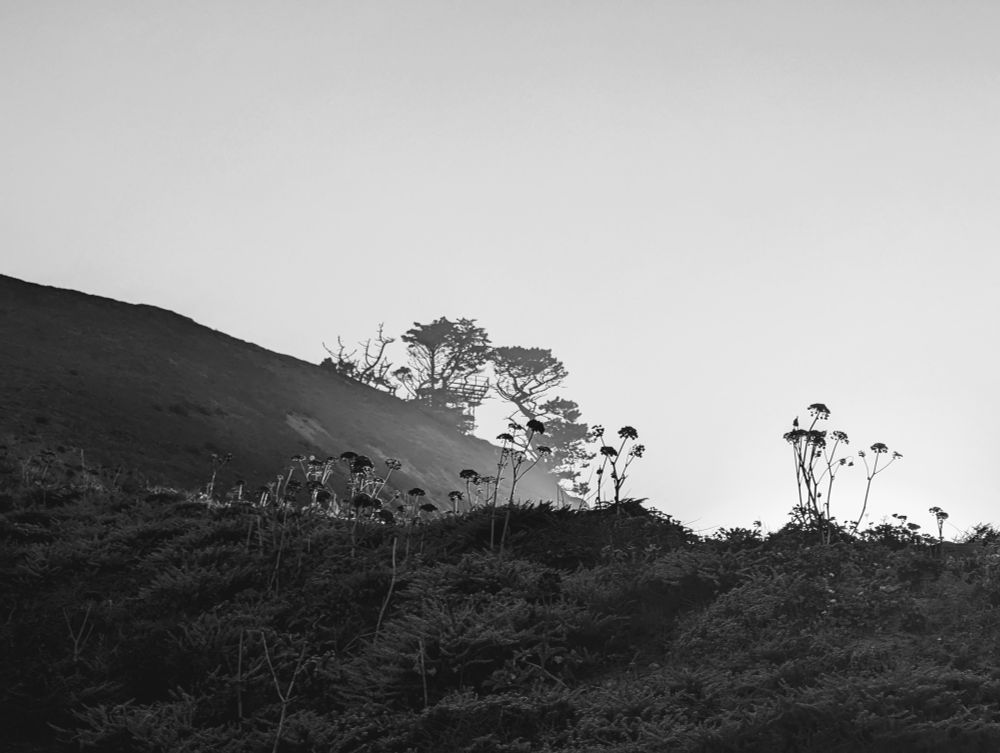 Black and white view of the coast, with a watchtower in the background
