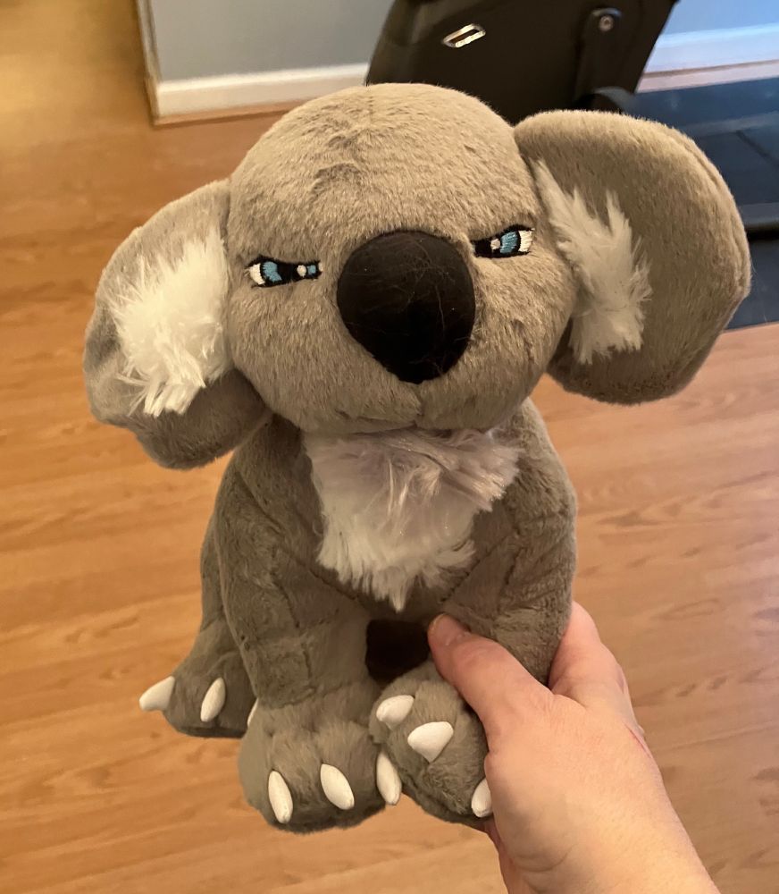 The plush koala known as Speedy, arrived today! Here held up for the camera, after his ear and chest tufts were fluffed out. He has narrowed eyes and prominent claws. Watch out!