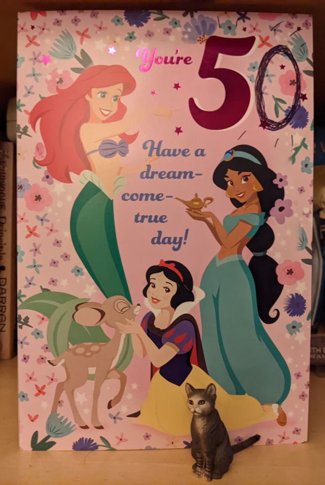 A Disney Princess birthday card. It says 5 and a 0 has been added with biro.