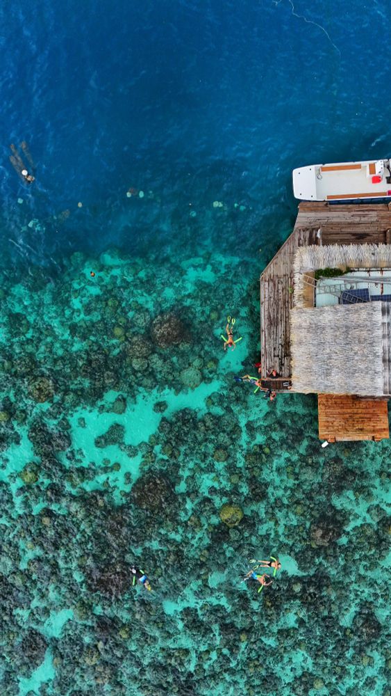 📍 French Polynesia 🇵🇫