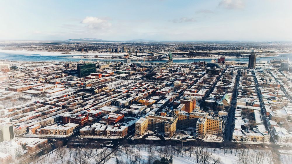 White Montréal. 