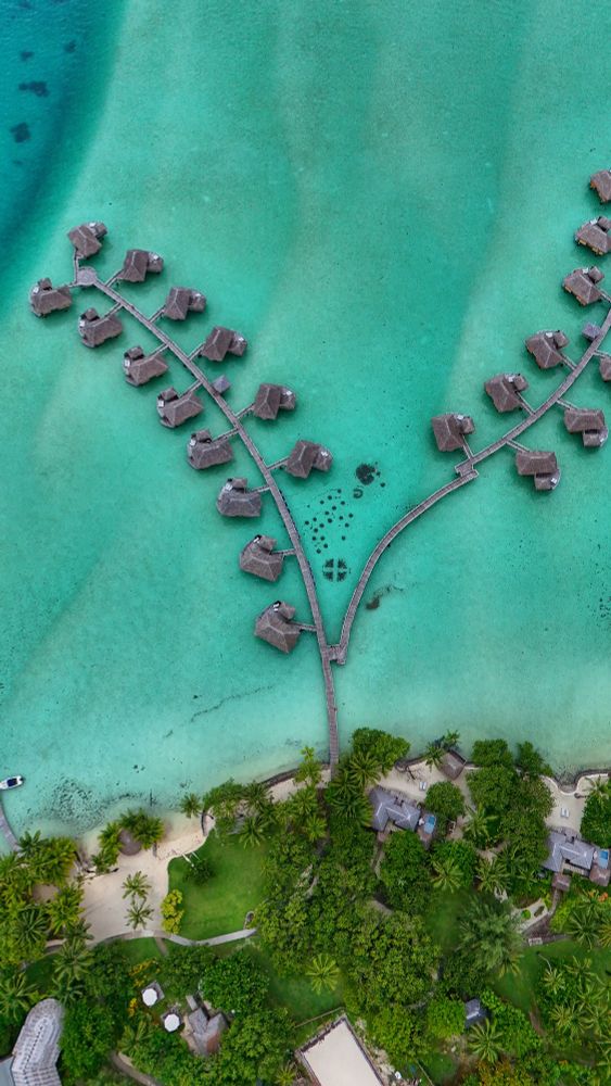 📍 French Polynesia 🇵🇫
