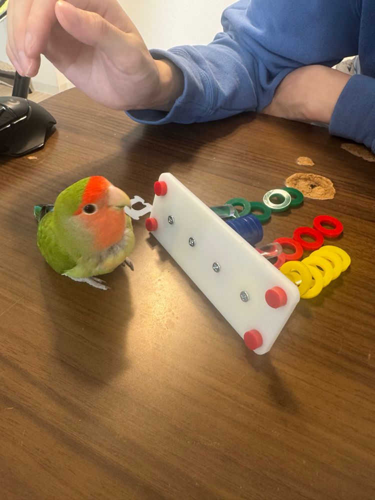 土台からひっくり返すもちゅ