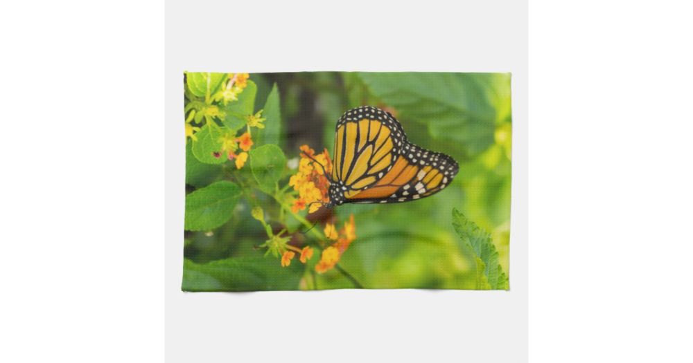 Monarch On Lantana Kitchen Towel | Zazzle