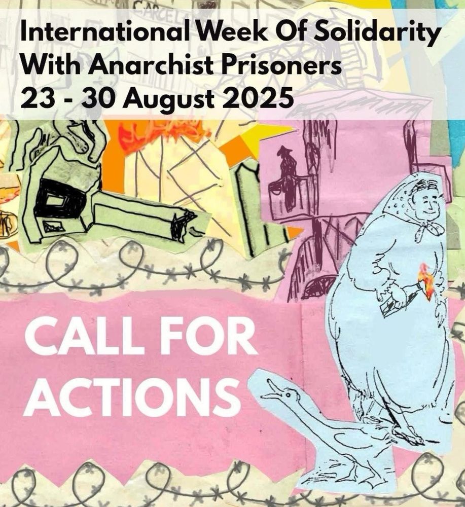 Collage of pastel chaos including barbed wire, an old woman with a Molotov, and a honking goose. text reads 
International Week Of Solidarity With Anarchist Prisoners
23 - 30 August 2025
CALL FOR ACTIONS