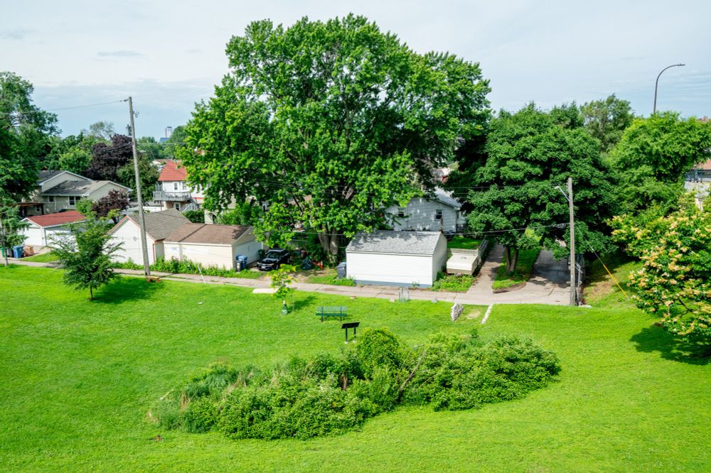This photograph captures a view of a Northeast Minneapolis neighborhood from above, looking down on a large, sloping grassy hill. In the middle ground, a few residential homes and garages are clustered around a very large, dense tree that dominates the frame. A small path leads from the street to the houses. The sky is partly cloudy, and utility poles and wires are visible in the upper part of the image.