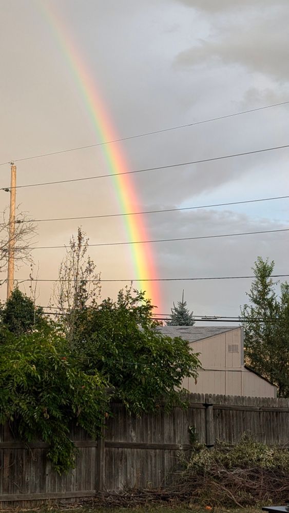 A photo of a rainbow shoot diagonally down a sky, taken from a backyard.
