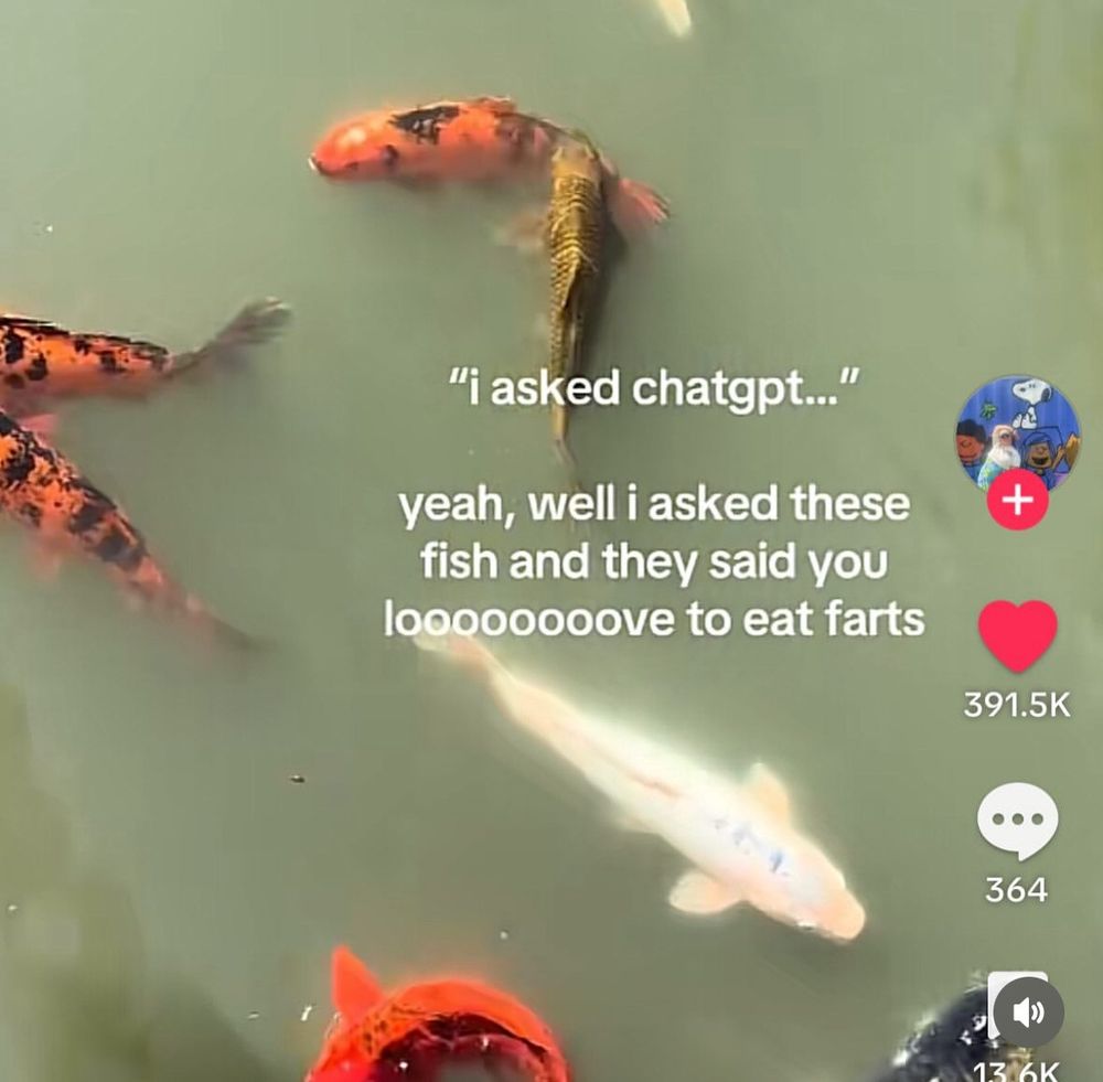 A screenshot of a video of a koi pound with the words " "'i asked chatgpt...' yeah, well I asked these fish and they said you looooooove to ear farts"