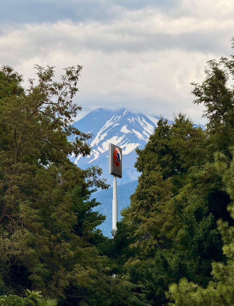 Photo of a 76 gas station sign surrounded by trees with Mount Shasta behind it.