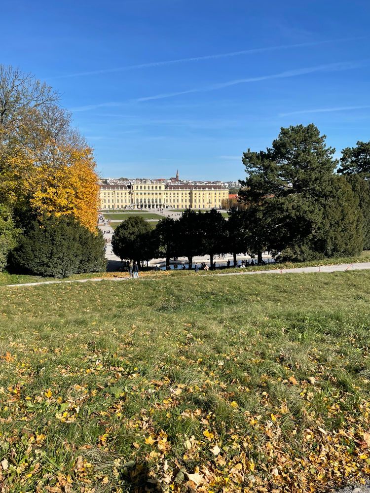 Blick auf Schloss Schönbrunn Wien vom dahinter liegenden Hügel.