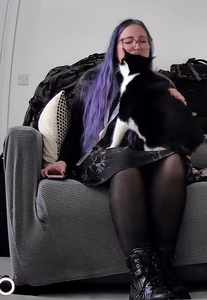 Dougie, the black and white three-legged none tail cat, sits on his Mummy's lap to give her lots of kisses. 