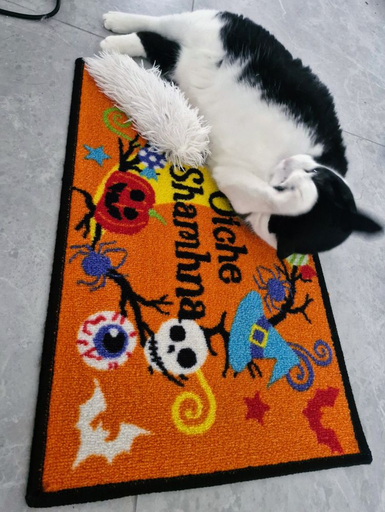 Dougie, the black and white three-legged none tail cat, is rolling around on his new Halloween mat. It says Oíche Shamhna on it which is "Halloween" as Gaelige, in the Irish language. It is pronounced phonetically as " Eee-ha How-na" 