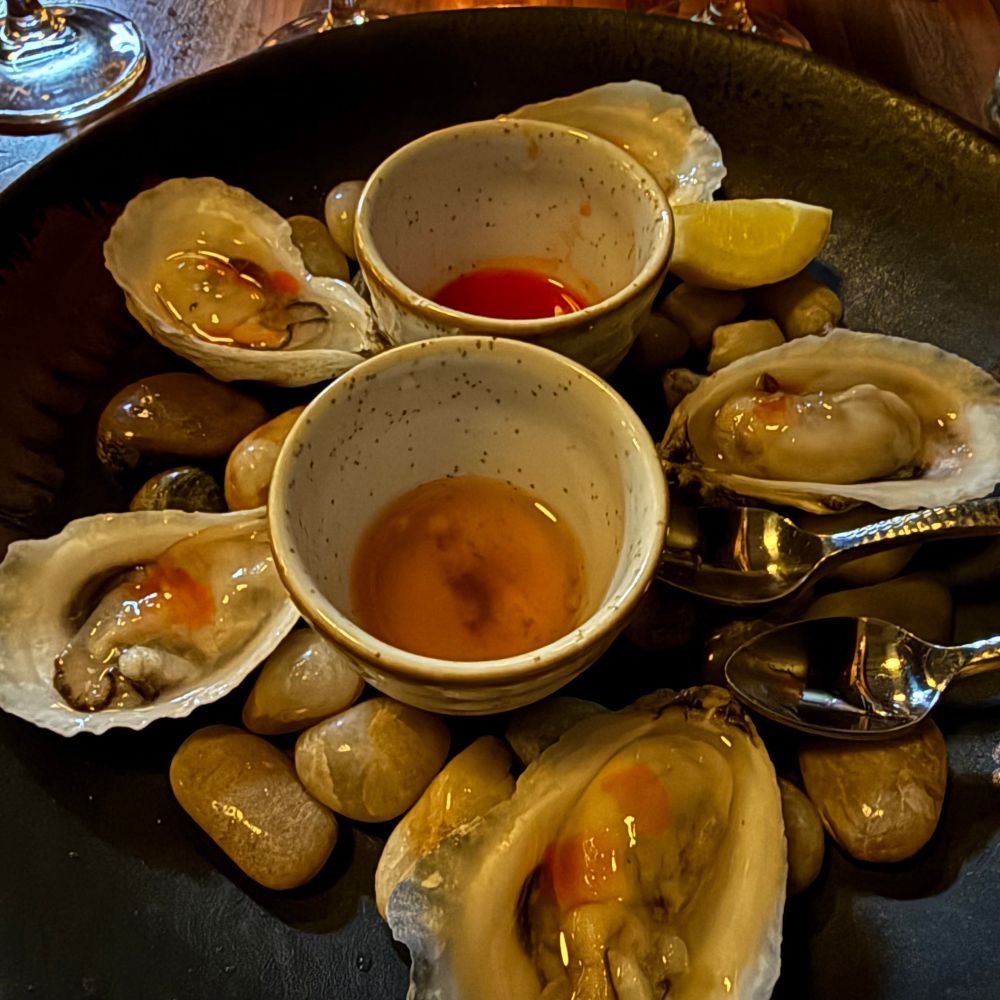 Best oysters I have ever had 
