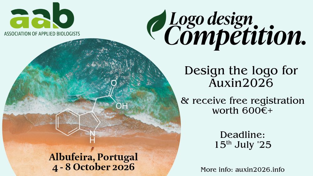 Auxin logo competition advert