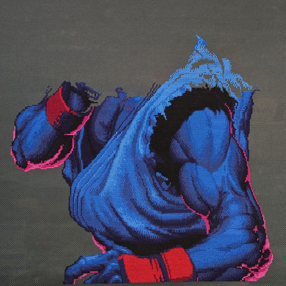 Image of cross-stitch project that shows 75% complete.