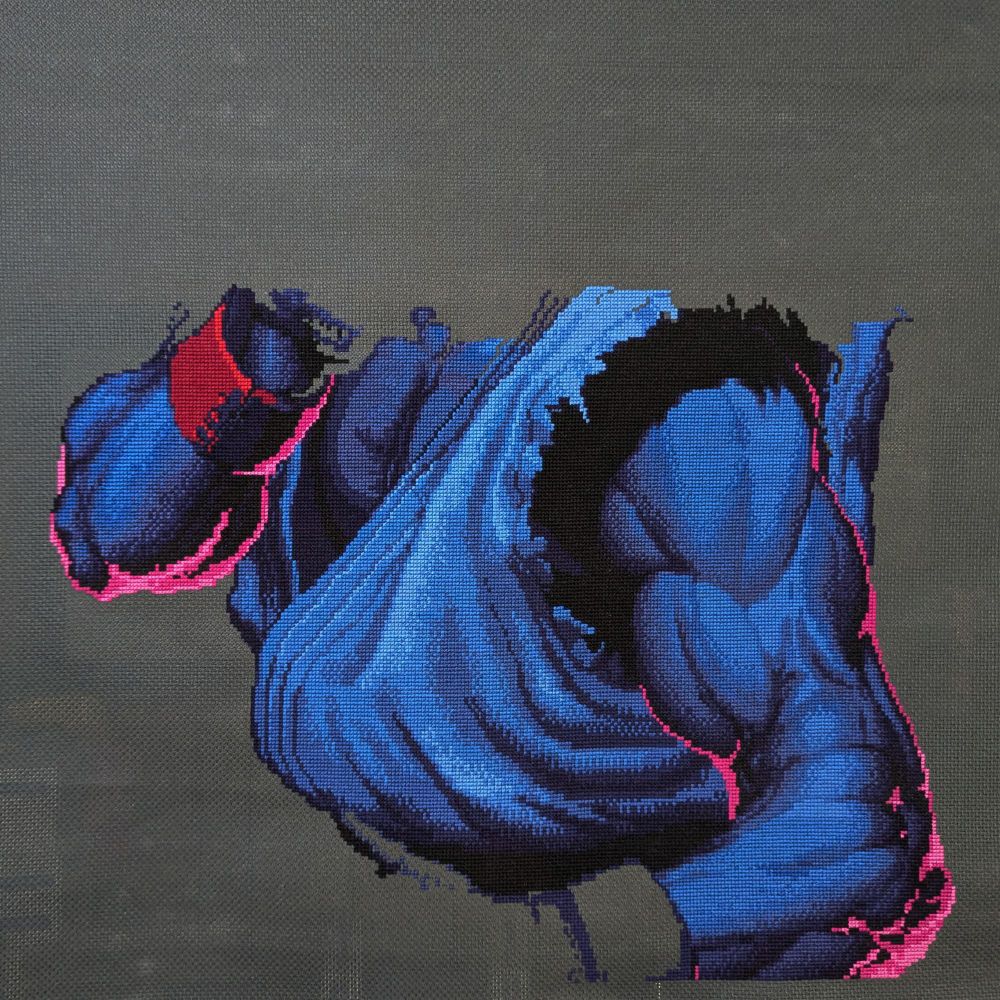 Show's current progress of my Street Fighter cross-stitch project. Recently added the bottom part of Ryu's left arm.