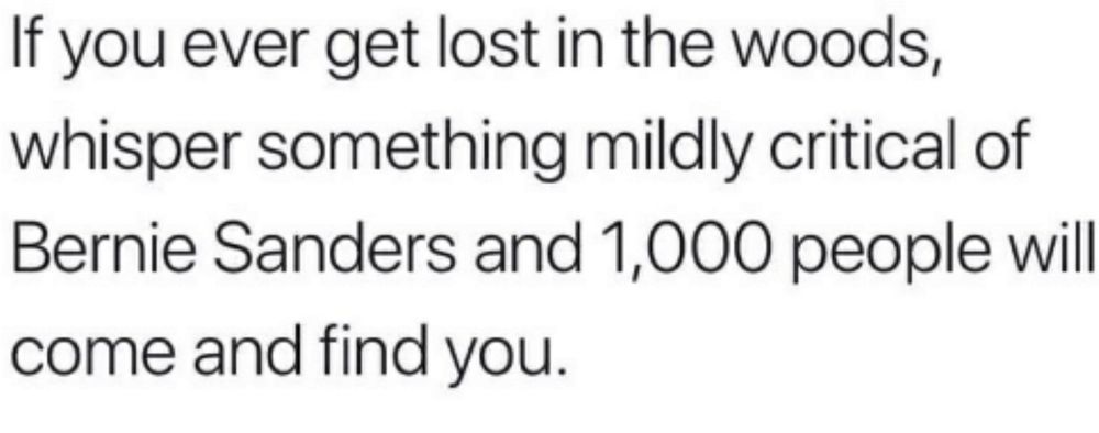 If you ever get lost in the woods, whisper something mildly critical of Bernie Sanders and 1000 people will come and find you.