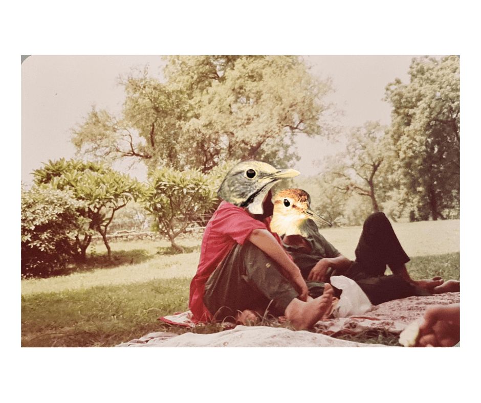 The Kaul family reimagined as birds.