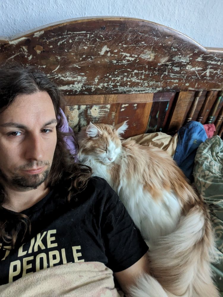 Sleeping cat with user only half awake