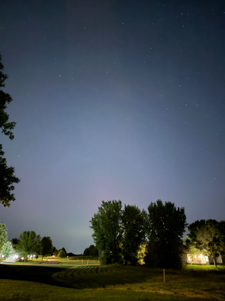 Hint of purple and green northern lights low in the sky above several trees in the distance, with a few houses also in the distance. A few stars are visible in the sky above the northern lights.