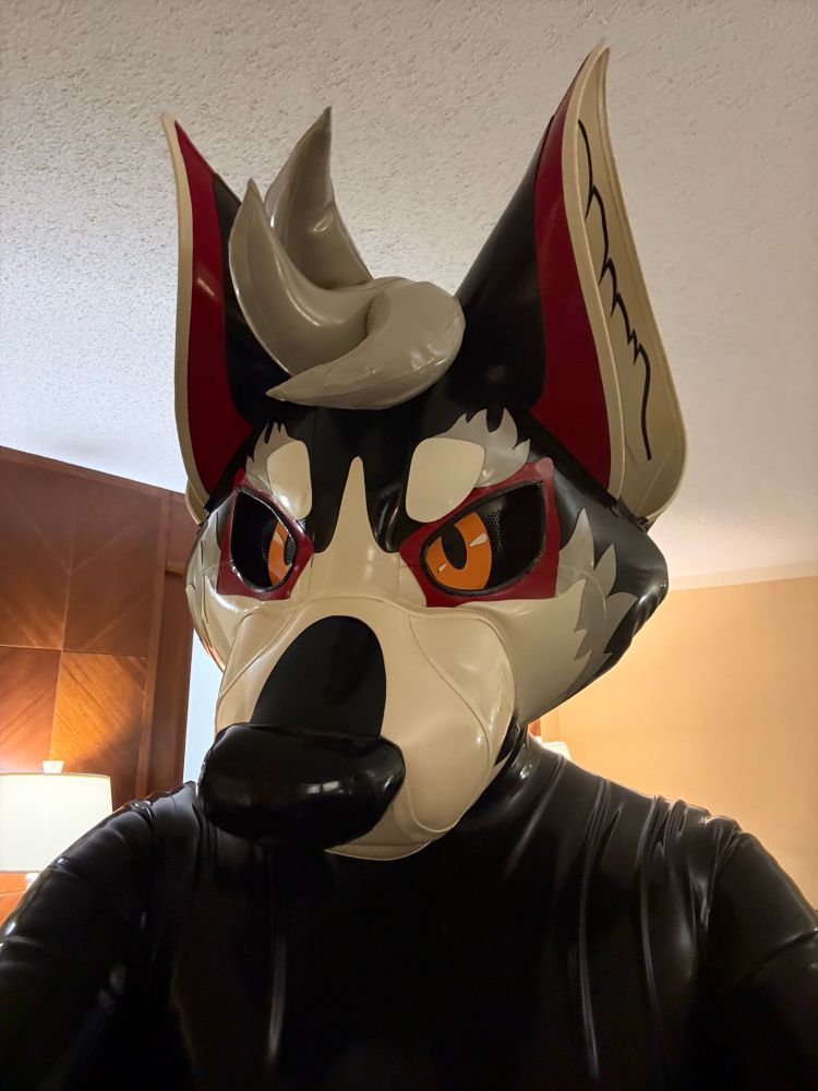 Selfie in a black latex catsuit and latex Kariwanz fursuit hood.