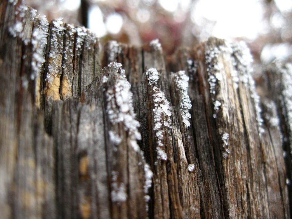 An ~artsy~ photo of snow/ice along the top of a jagged and weathered fence board.