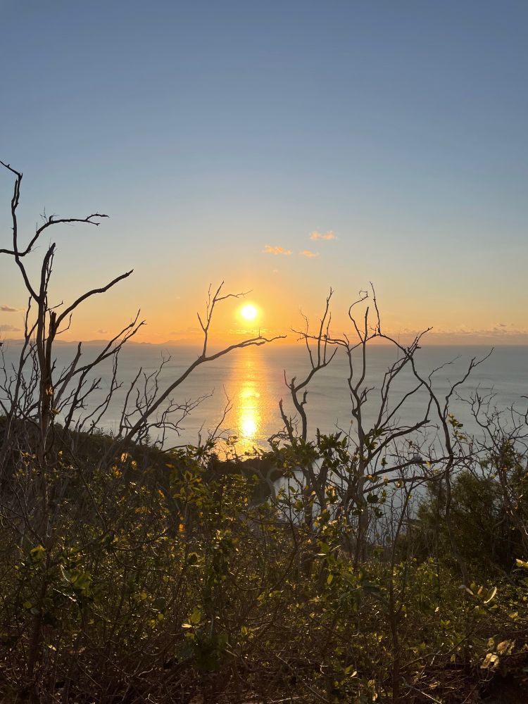 Sunset over the ocean with bare tree branches on the foreground