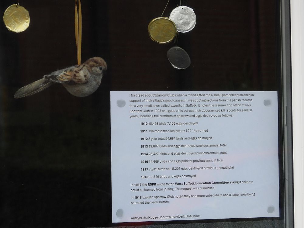 A short notice detailing the tens of thousands of birds, birds' eggs and nest destroyed annually in farming villages around the country just over a century ago.
Re-reading chunks of 'The House Sparrow' New Naturalist monograph last night -one still known to be operating in Kent in 1963 (Elham)