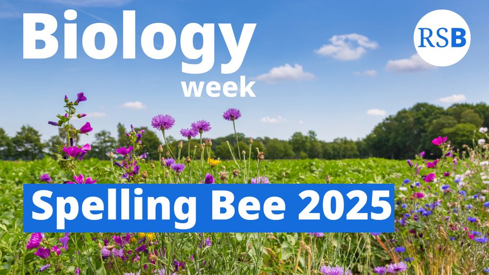 A flower meadow with a blue sky above. Text says Biology week Spelling Bee 2025