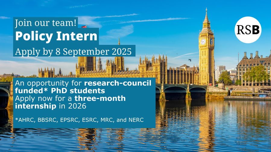 The Houses of Parliament. Text says Join our team! Policy Intern, apply by 8 September 2025. An opportunity for research-council funded* PhD students, apply now for a three-month internship in 2026. *AHRC, BBSRC, EPSRC, ESRC, MRC, and NERC