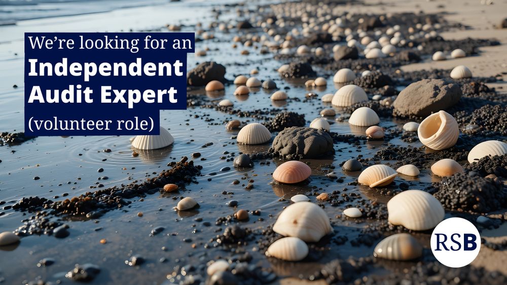 Close up of shells on a shoreline. Text says we're looking for an independent audit expert (volunteer role)