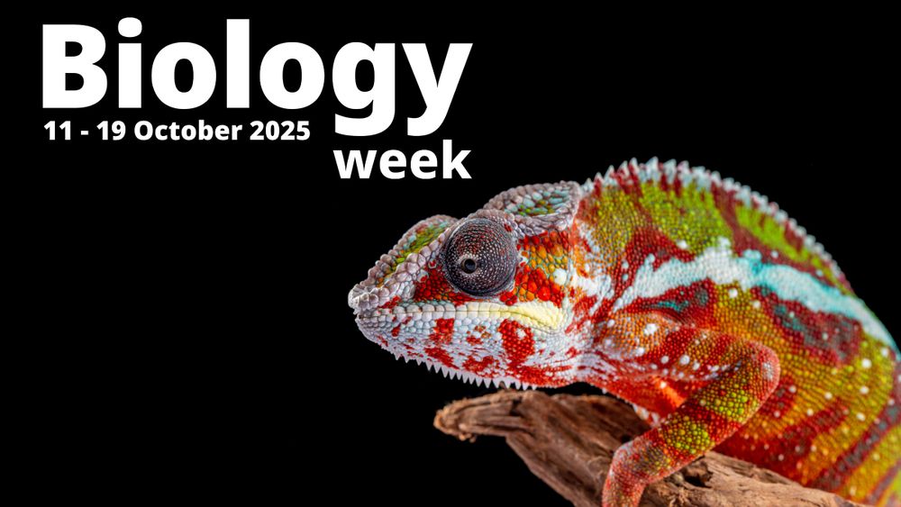 A chameleon next to the Biology Week logo