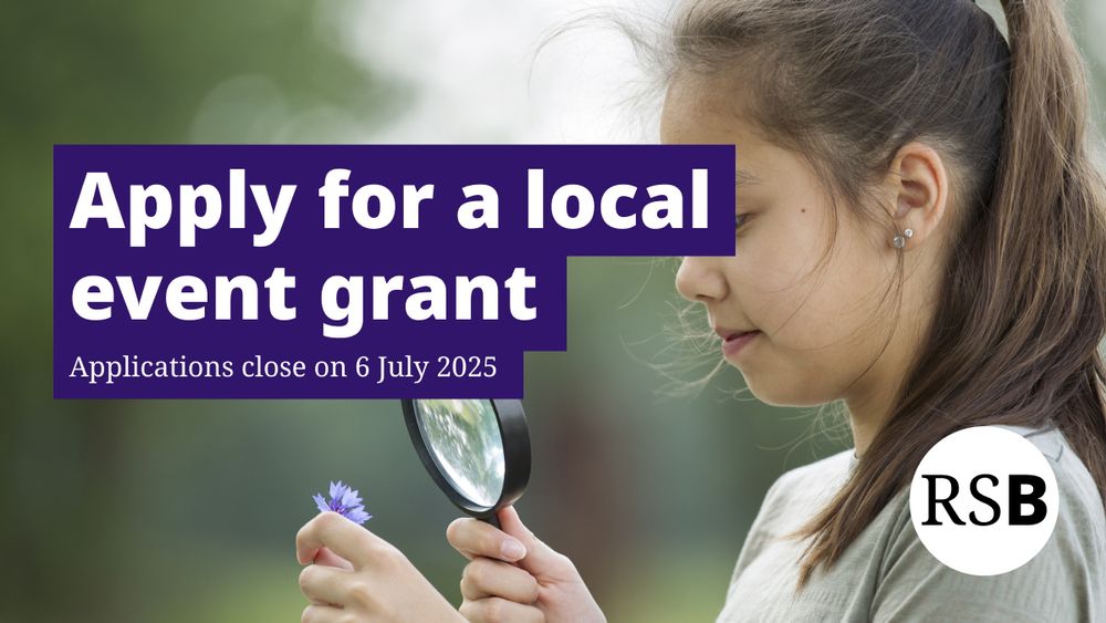 A child looking at a flower through a magnifying glass. Text says apply for a local event grant, applications close on 6 July 2025