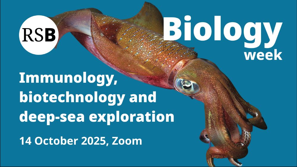 A squid with a blue background. Text says Biology week, Immunology, biotechnology, and deep-sea exploration. 14 October 2025, Zoom