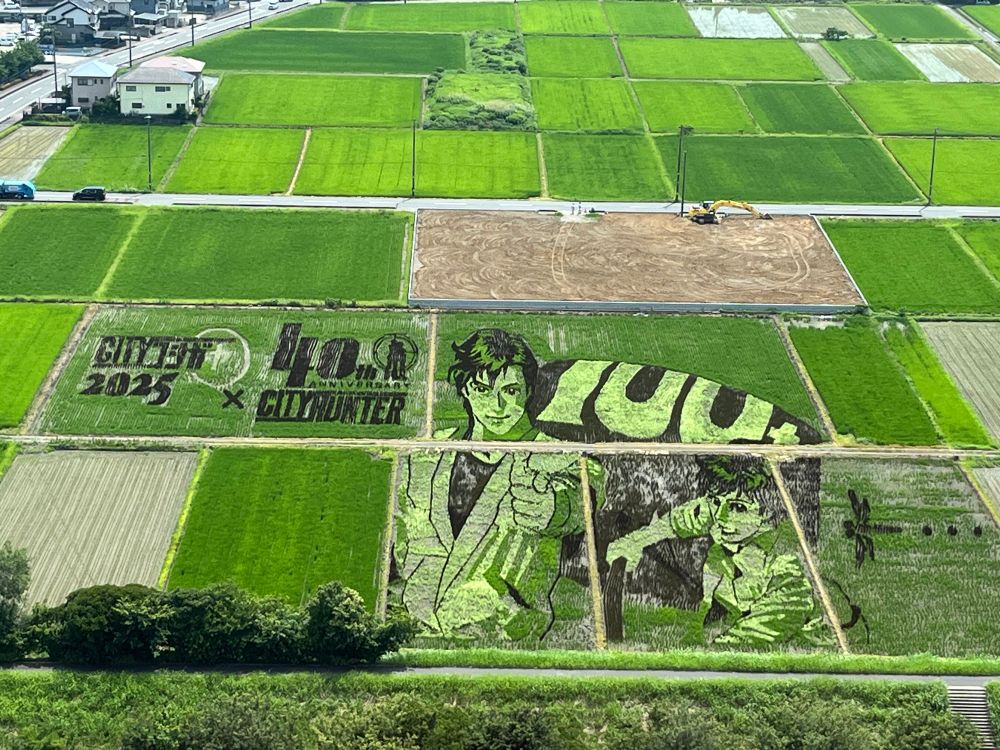 こしがや田んぼアート