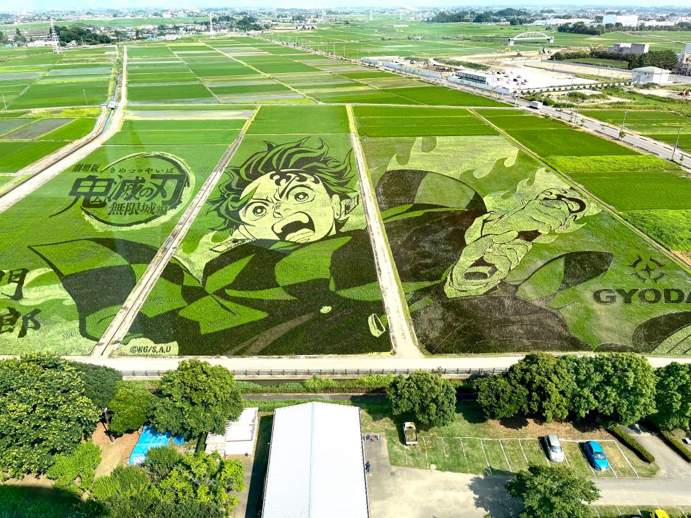 行田市田んぼアート会場