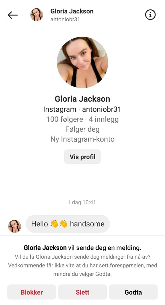 Screenshot of an Instagram message request from "Gloria Jackson" (antoniobr31). The message is "Hello handsome," punctuated by two hand wave emojis. The profile photo is a selfie of a busty brunette, taken from a high angle to emphasize her cleavage. It is a photo of adult film actress Natasha Nice.