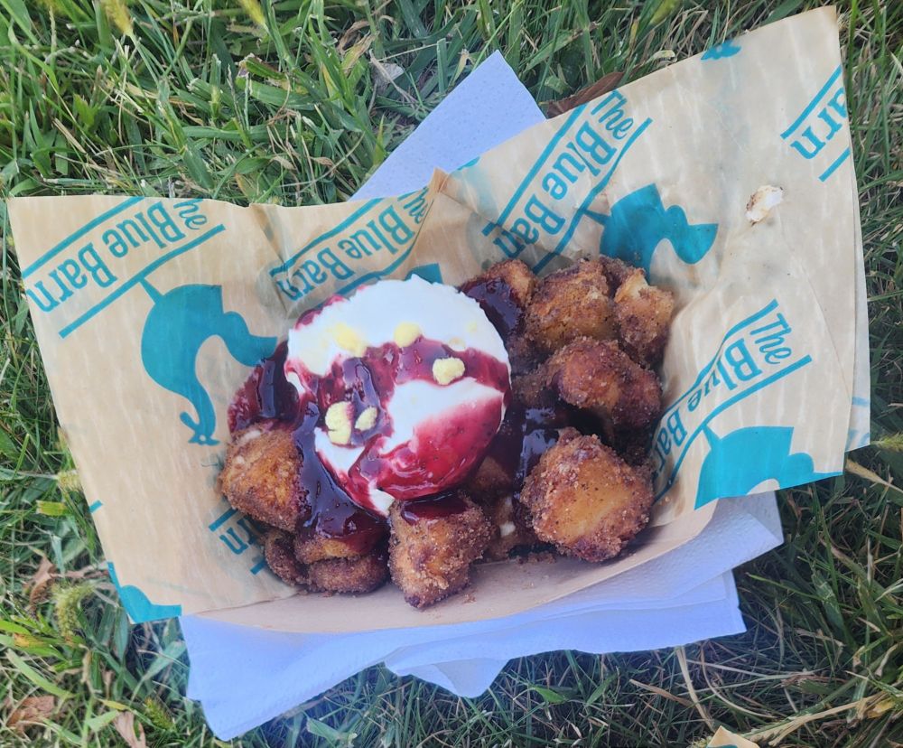 picture of a paper food basket with fried cheese curds, a scoop of lemon whipped cream, and drizzles of berry sauce.