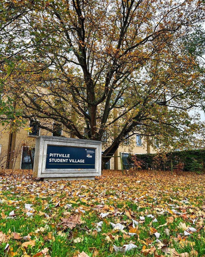 Pittville student village sign surrounded by leaves