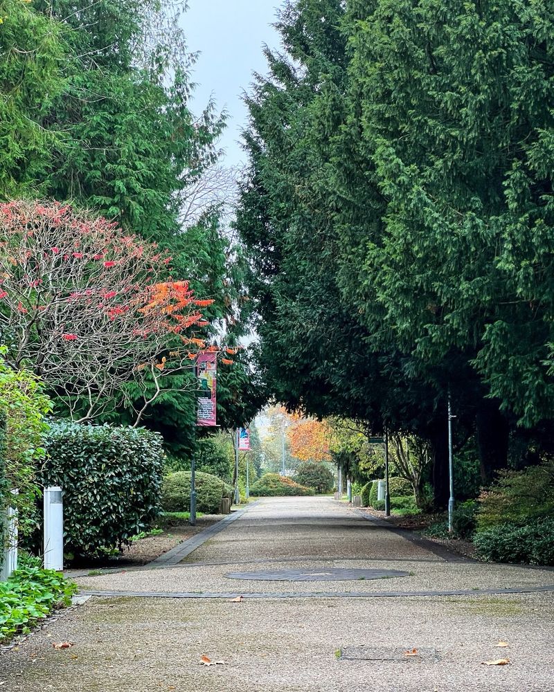 The elephant walkway at park campus