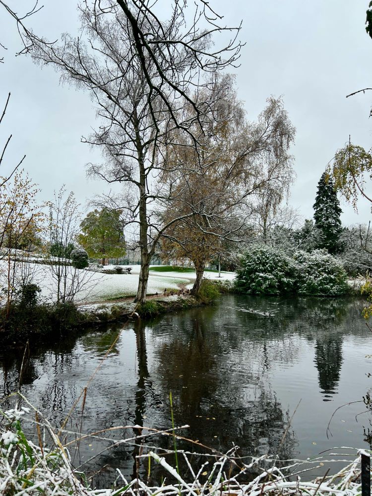 Park campus lake in the snow
