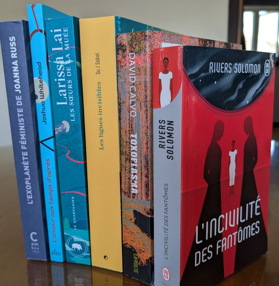 En position verticale sur une table, six livres de science-fiction d'auteurices LGBTQ+, disposés selon les couleurs de l'arc-en-ciel.
- L'exoplanète féministe de Joanna Russ (série d'essais)
- L'amour aux temps d'après (Love after the End), collectif de nouvelles d'auteurices autochtones, dirigé par Joshua Whitehead
- Les sœurs de la Muée (The Tiger Flu), par Larissa Lai
- Les lignes invisibles (Cycling to Asylum) par Su J. Sokol
- Toxoplasma, par Sabrina Calvo
- L'incivilité des fantômes (An Unkindness of Ghosts), par Rivers Solomon